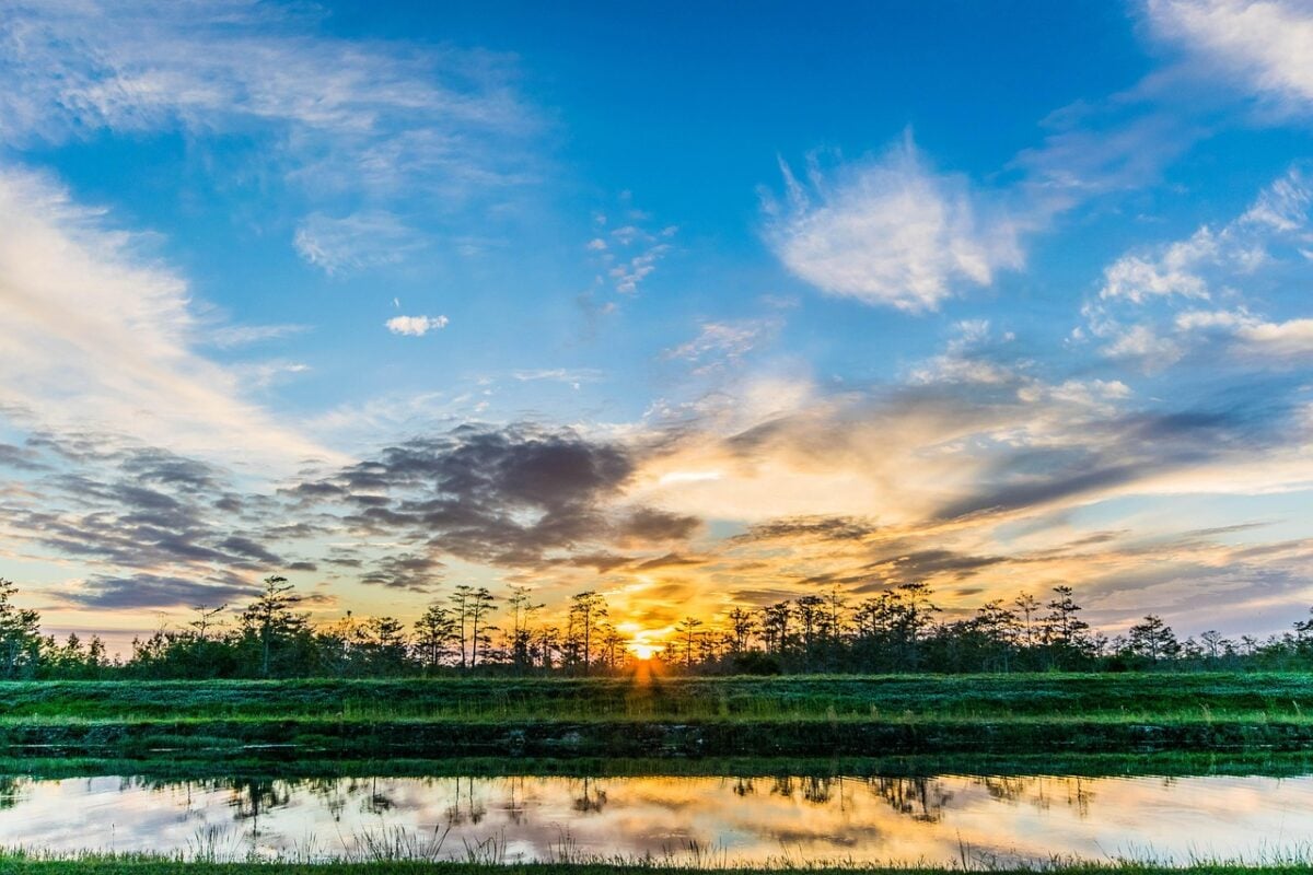 Everglades Everglades