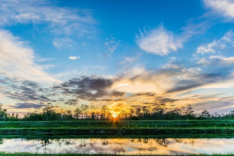 Everglades