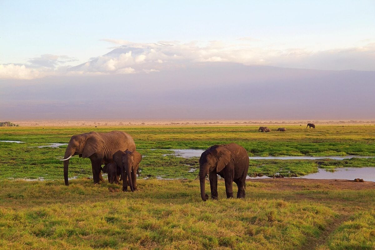 Kenya Kenya
