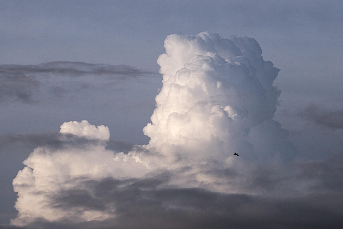 Allerta, Meteo Allerta, Meteo