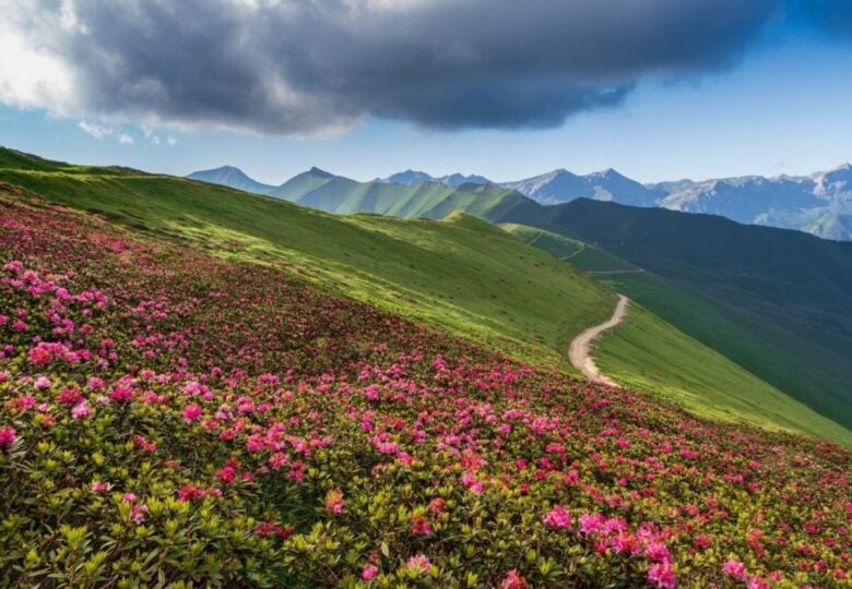 alpi marittime liguria