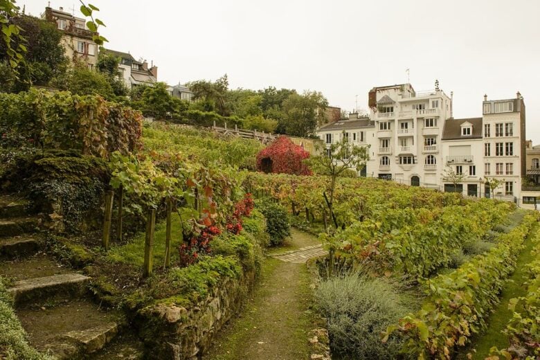 Clos Montmartre