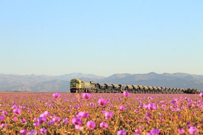 deserto di Atacama