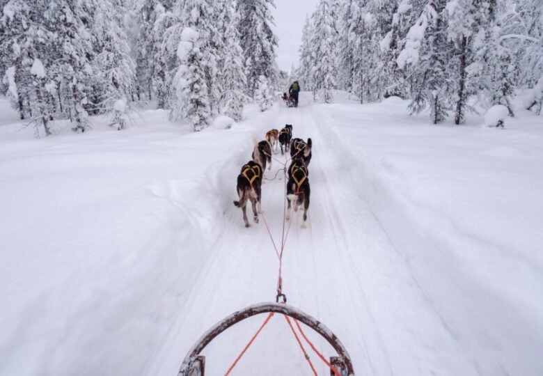 Fjällräven Polar 2027