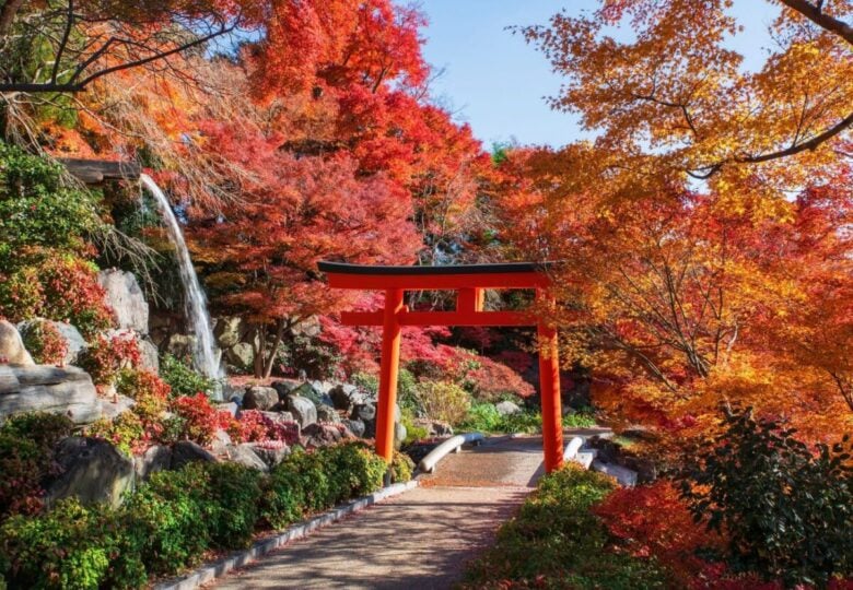 foliage giappone