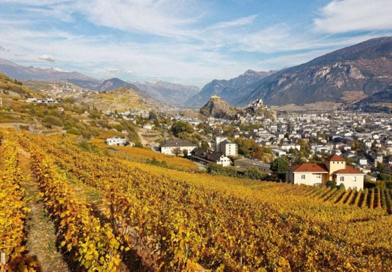 sion vigneti autunno