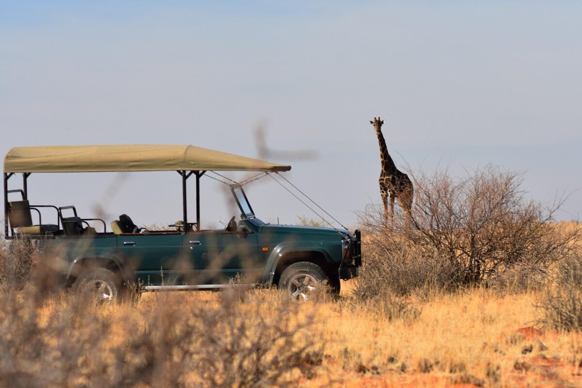 Turisti, Africa Turisti, Africa