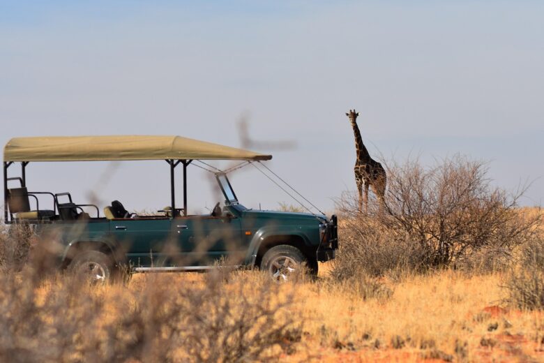 Turisti, Africa