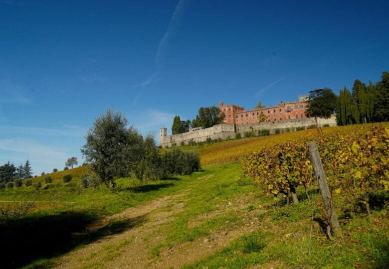 vigneti toscana
