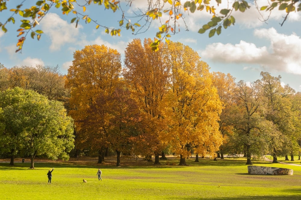 Bois de la Cambre Bruxelles Bois de la Cambre Bruxelles